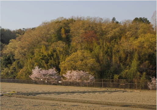 土地探し