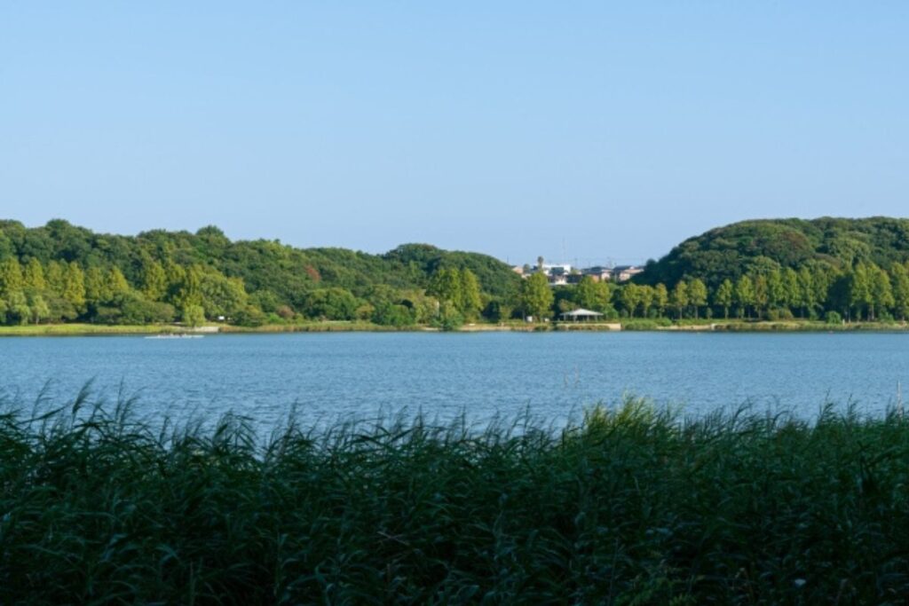 浜松市「入野地区」は住みやすい？利便性と自然がそろう人気エリアの魅力